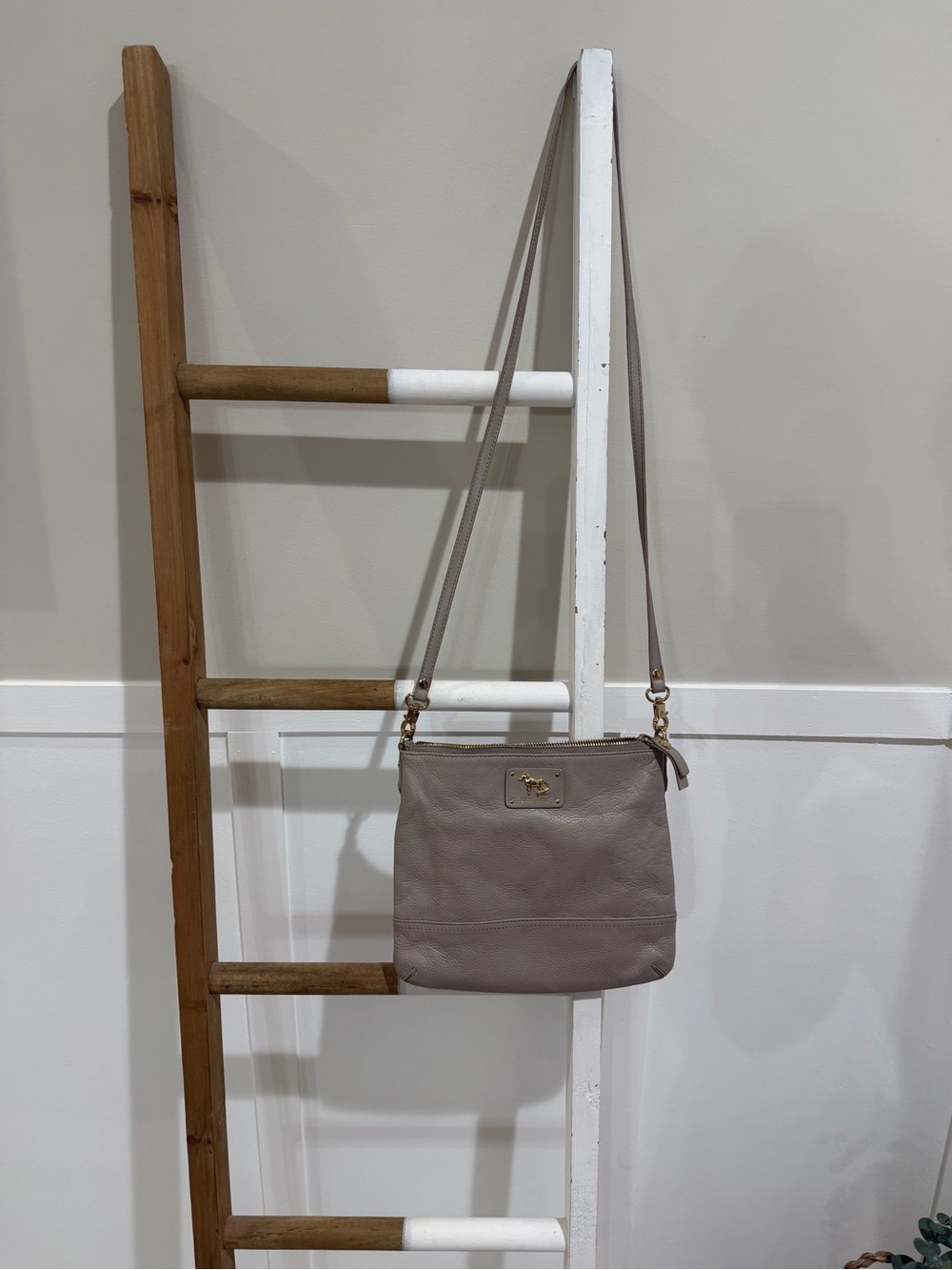 Emma Fox  Taupe Crossbody Leather Bag